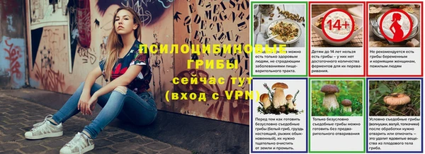 ALPHA PVP Армянск