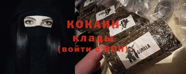 spice Няндома