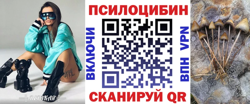 Псилоцибиновые грибы Psilocybe  Хадыженск 